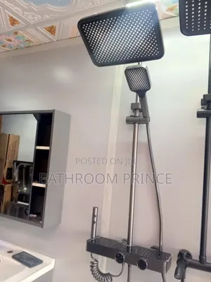 Luxury Grey Shower Mixer With Bidet Sprayer