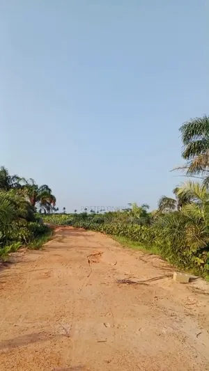 Acres of Land at Yewa Rd, Odo-Egiri, Epe, Lagos