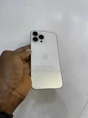 Apple iPhone 13 Pro Max 256 GB Gold