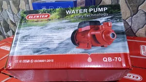 Italian Water Pump