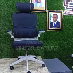 Ergonomic Mesh Office Chair Black and White