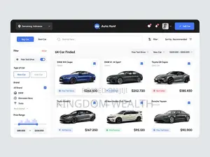 Website Development