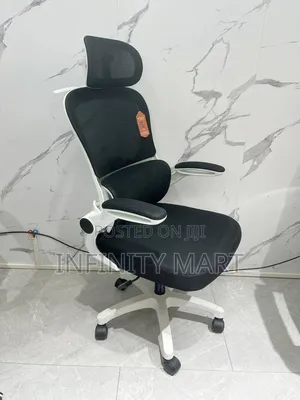 Adjustable Ergonomic Chair.