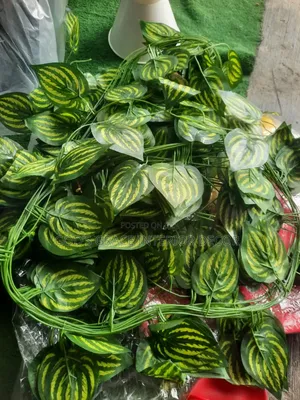 Dropping Flower Available in Stock