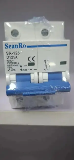 125a MCB 2pole Ac Breaker (Seanro)
