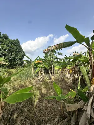 Land for Sale in Port Harcourt