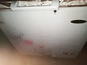259l Freezer