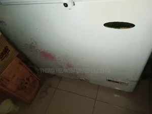 259l Freezer