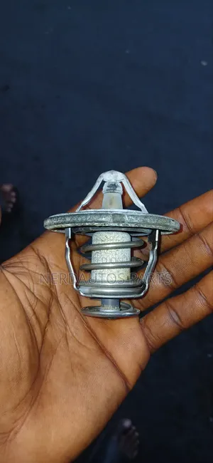 Thermostat Honda Crosstour 2010_2015