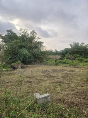Half Plot for Sale