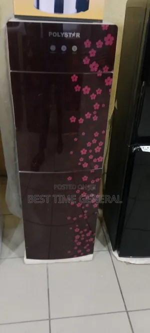 Luxury Water Dispenser Freezer and Fridge