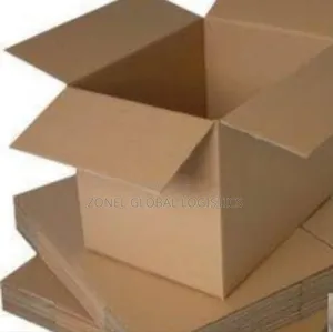Footwear Storage Carton