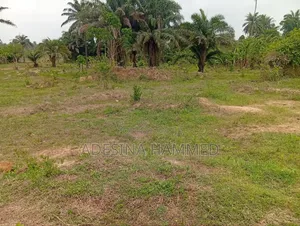 2 Plots of Land for Sale at Odun, Boredun