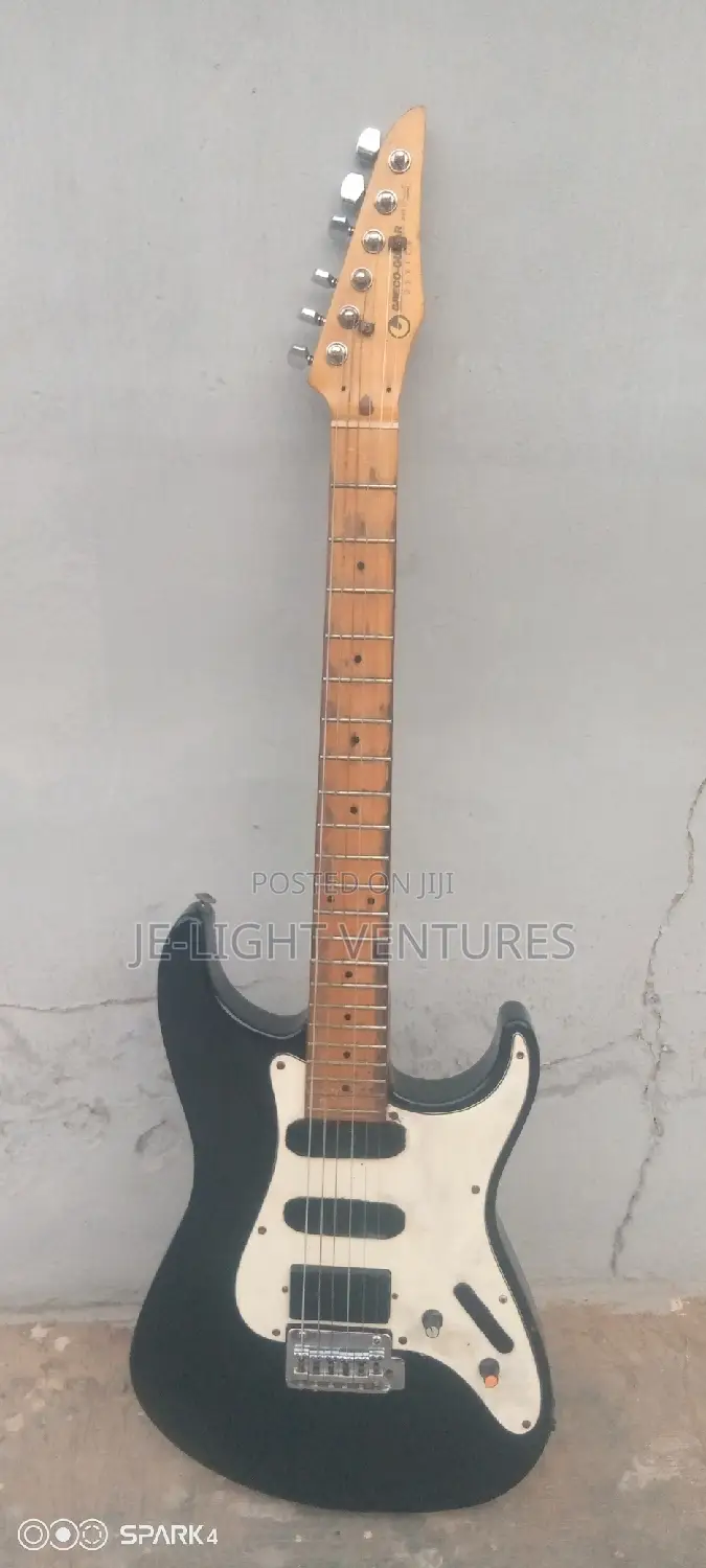 Electric Guitar