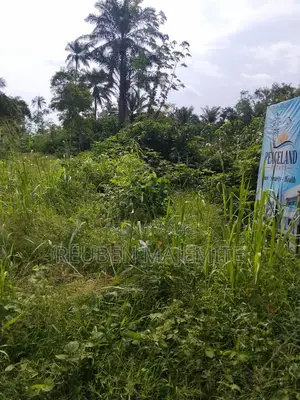 Land for Sale 100 by 50 ,100by 100 ,1 Acre
