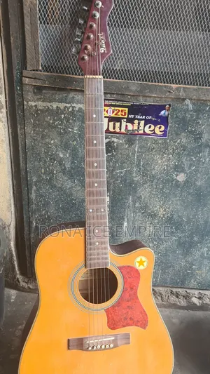 Semi Acoustic Guitar