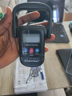Electronic Hanging Scale