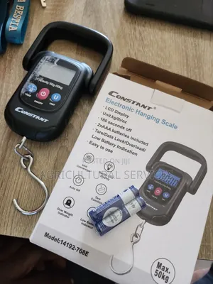 Electronic Hanging Scale