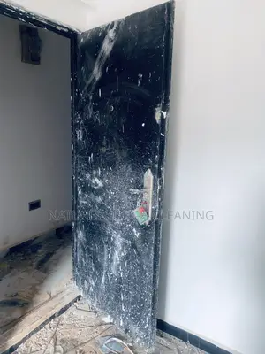 Professional Cleaning Services