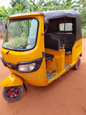 Tricycle 2024 Yellow