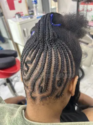 Uniquebraids.1