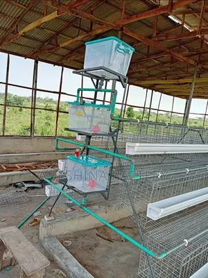 King Battery Cage