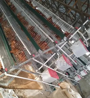 Click and Order for Your Cages