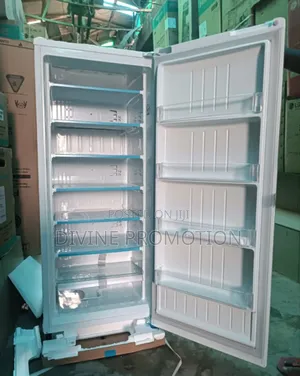 6 Steps Lg Ice Block Maker Upright Freezer, White Color, 2 Yrs Warrant