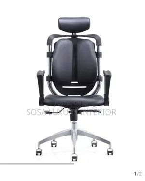 Premium Ergonomic Office Chair With Headrest