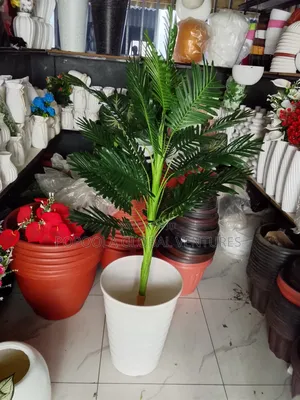 Flower and Flower Pot