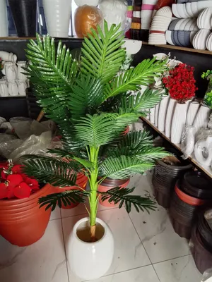 Flower Pot and Palm Tree Flower
