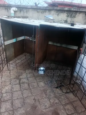 Neatly Used Dog Cage