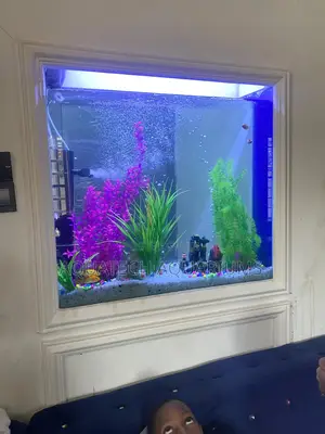 Wall Aquarium