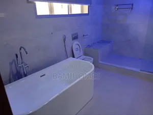 Expert Repair Services and Professional Plumbing Installation Work