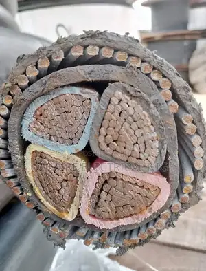300mm 4core Cable