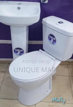 Complete Set Water Closet, Includes: Seat, Tank, Basin and Pedestal