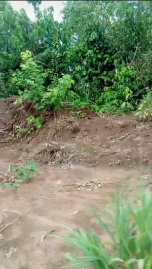 3 Sharable Plots of Land.