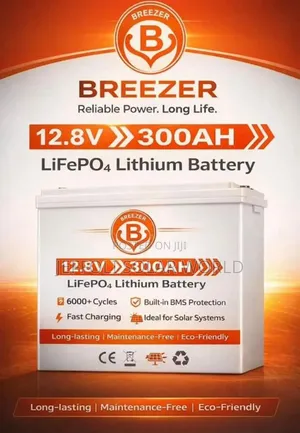 12.8v300ah Lifepo4