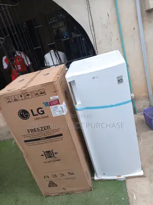 Shop Freezer: Lg Gn-304sqbr Upright Model