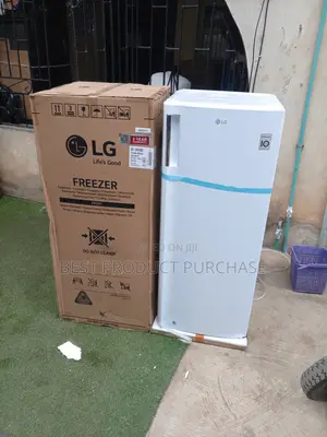 Upgrade Your Home With Lg Gn-304sqbr Freezer