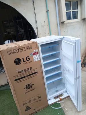 Lg Upright Freezer Gn-304sqbr – New Supply Available