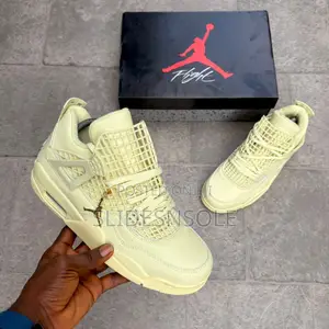 The Women's Air Jordan 4 Retro Net