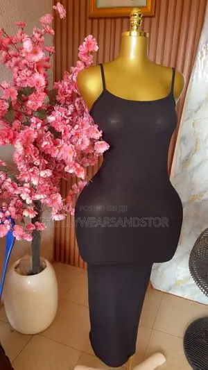 Body Con Dresses / Maxi Dresses