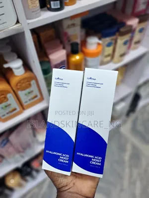 Isntree Hyaluronic Acid Moist Cream 100ml