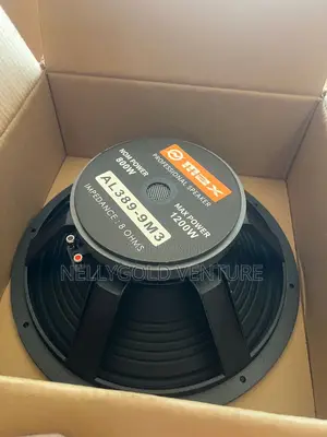 15inches O Max Speaker
