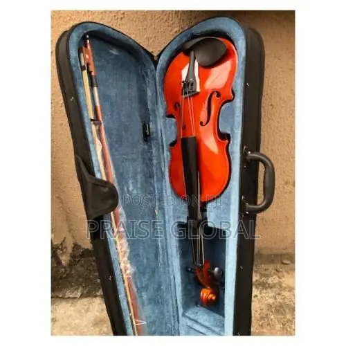 4/4 Violin Complete Set
