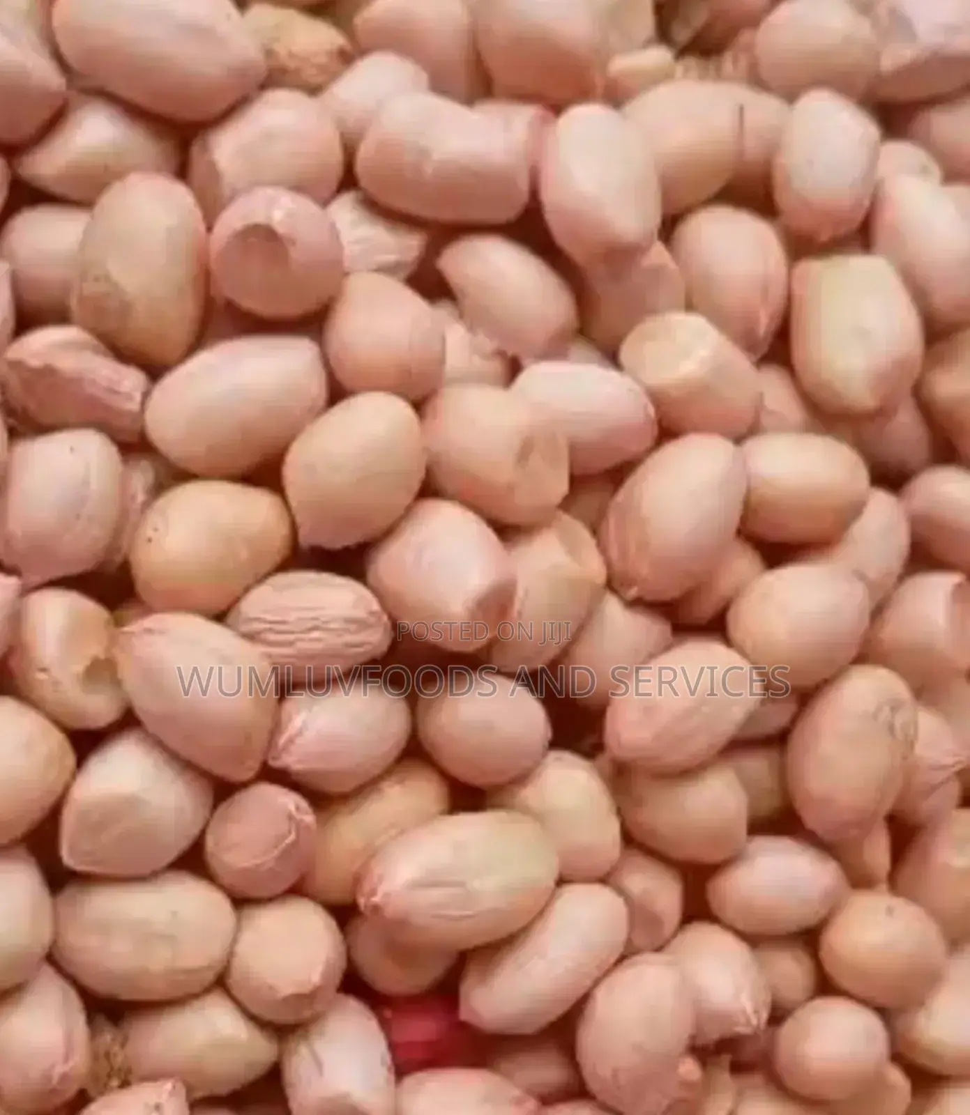 Groundnuts