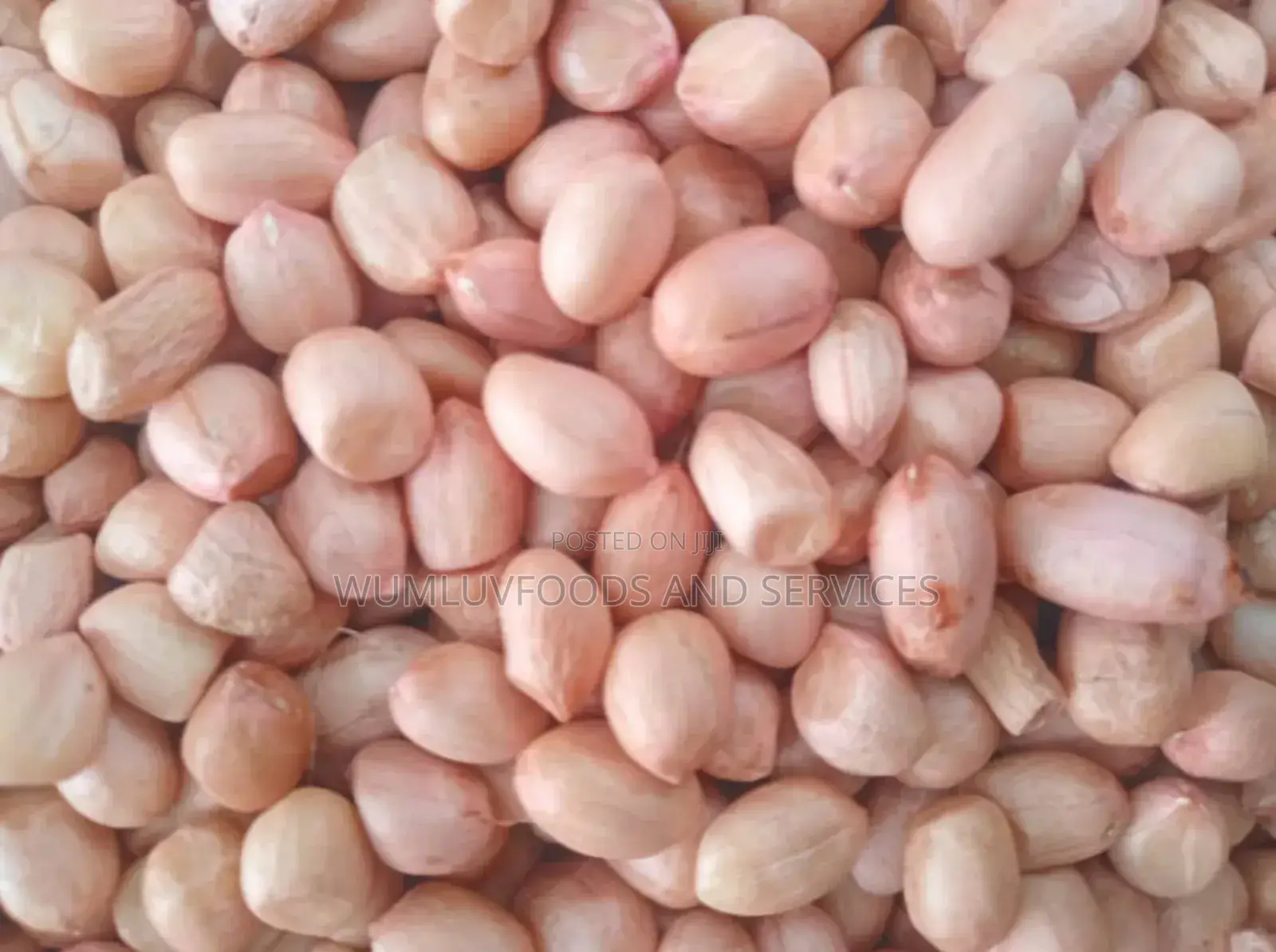 Groundnuts