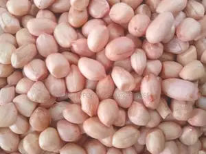 Groundnuts