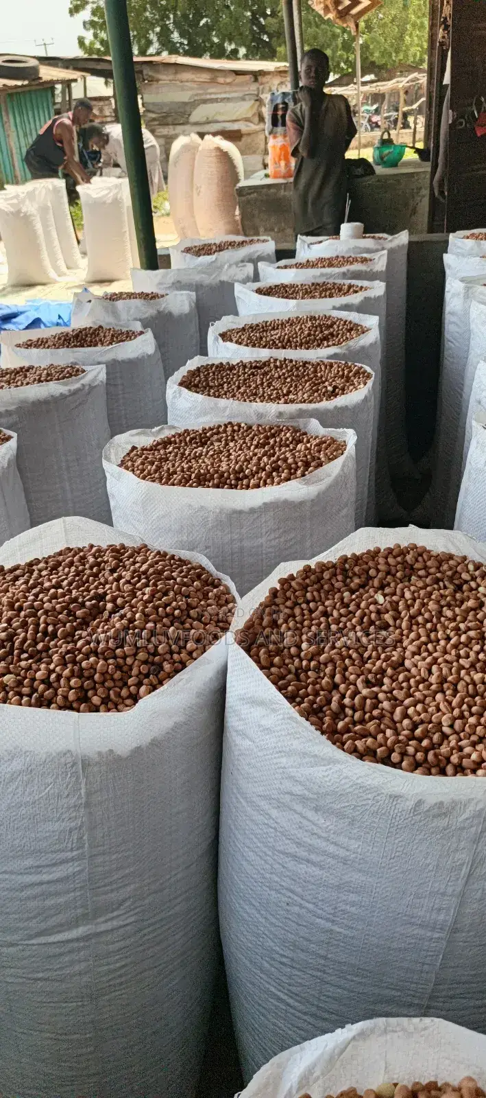 Groundnuts
